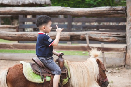 balade en poney dans une ferme en provence