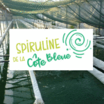 spiruline de la Côte bleue en Provence