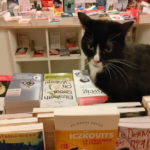 Librairie Mon chat pitre à Aix-en-Provence