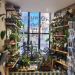 le salon du tanuki aix