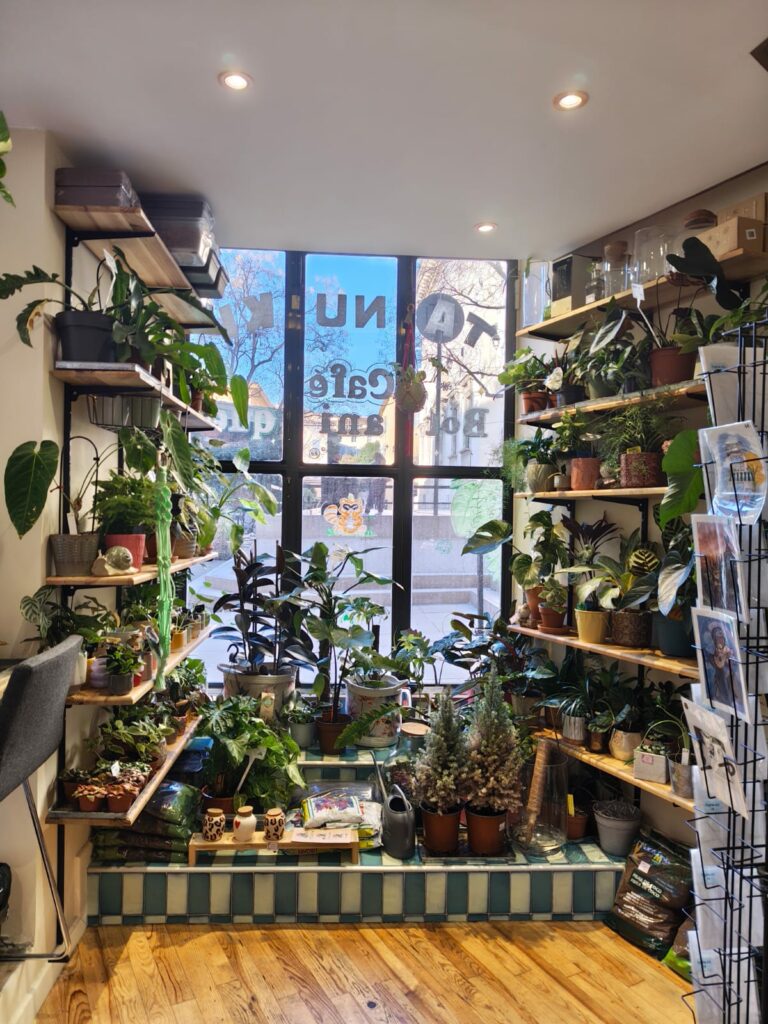 le salon du tanuki aix