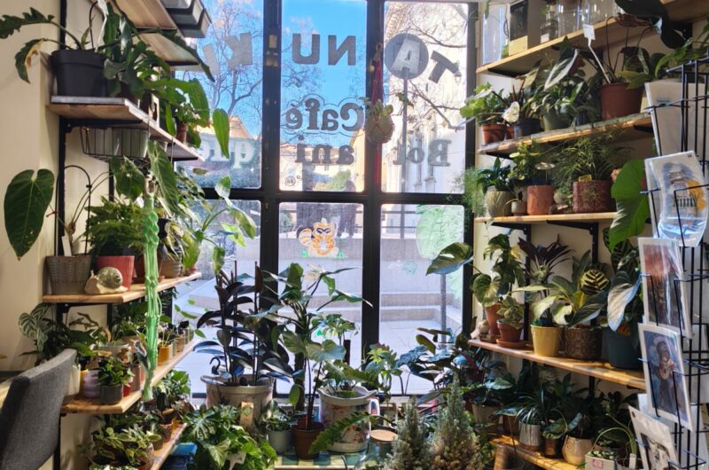 le salon du tanuki aix